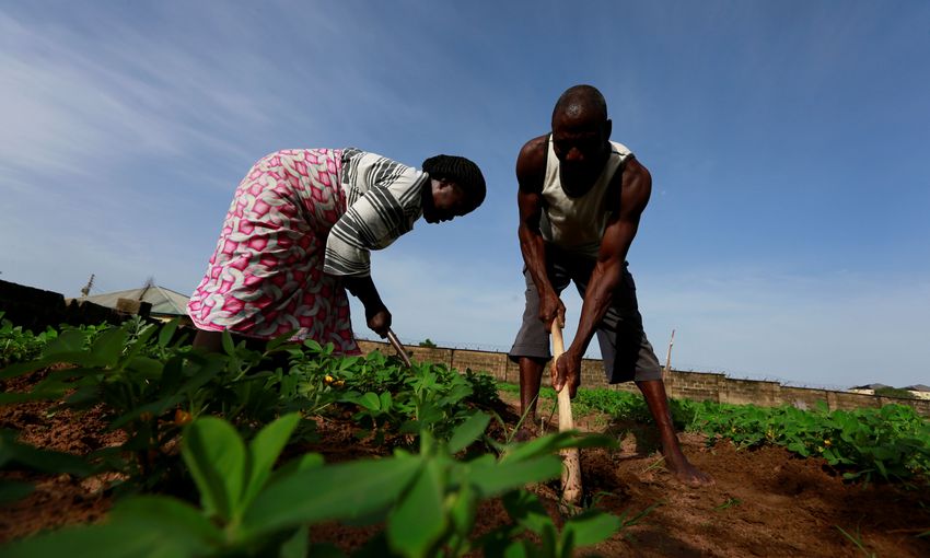 picture alliance / Reuters | Afolabi Sotunde