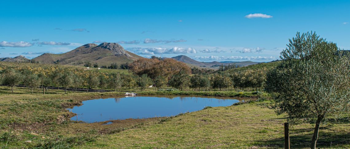 Canva/Ernesto Velazquez