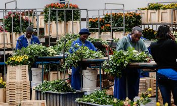 picture alliance / Photoshot| Zhang Chen