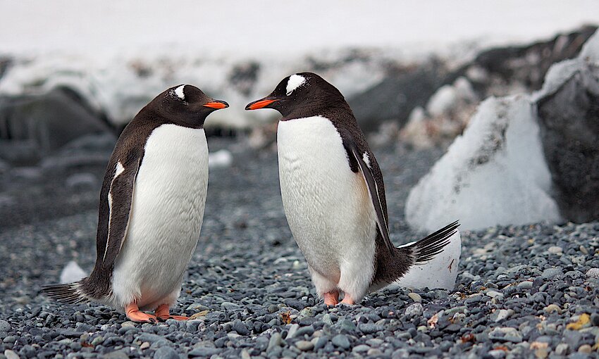 Reuters