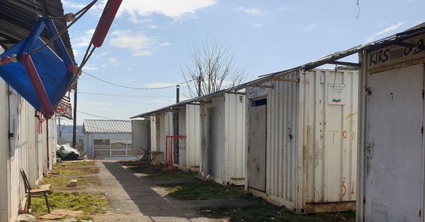 csm_BICC_Reintegrationsstudie_