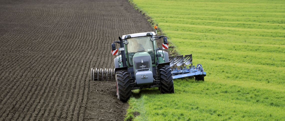 picture-alliance/ dpa | Rainer Jensen