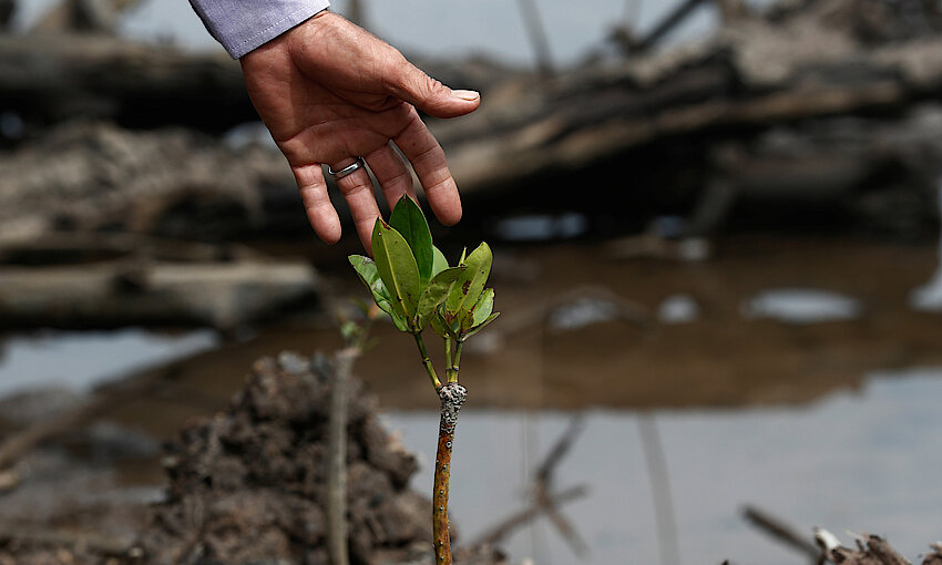 Reuters