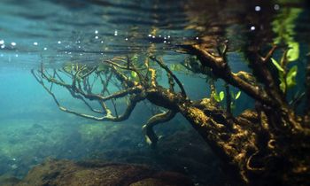 picture alliance / Anadolu | Ozge Elif Kizil