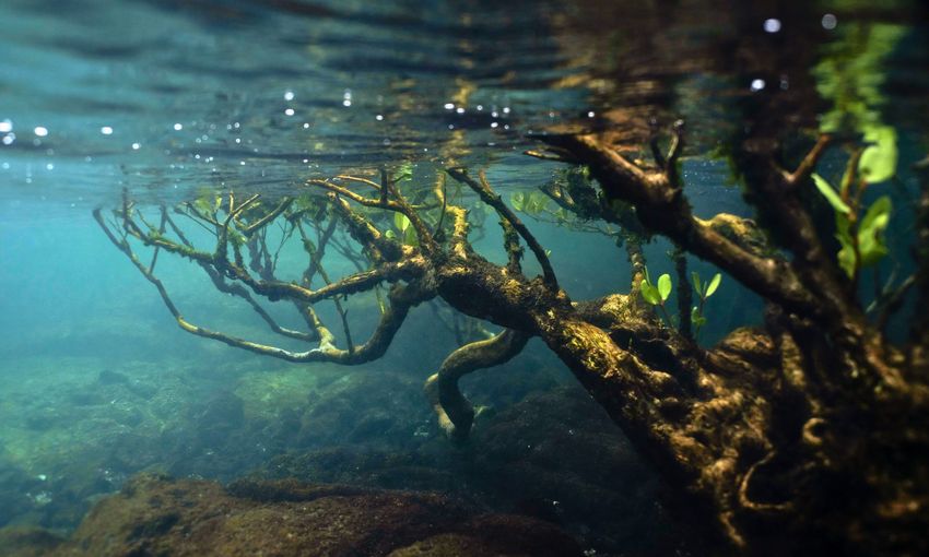 picture alliance / Anadolu | Ozge Elif Kizil