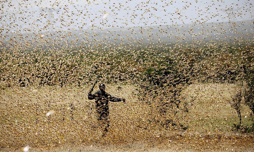 Reuters